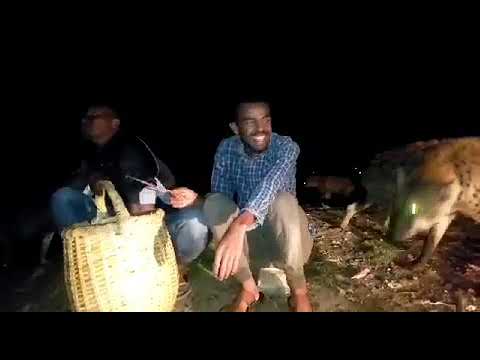 Dawannaaf Gama Harar Deemne Warabessa Nyachiisa Ollee