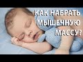 Как новичку набрать мышечную массу?