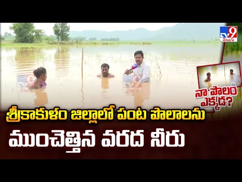 Srikakulam: శ్రీకాకుళం జిల్లాలో పంట పొలాలను ముంచెత్తిన వరద నీరు - TV9 - TV9