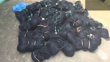 Lưới chim đêm tổng hợp đánh ( Chằng nghịch, mắt đỏ, mắt xéo, gà ấn, gà họng trắng)