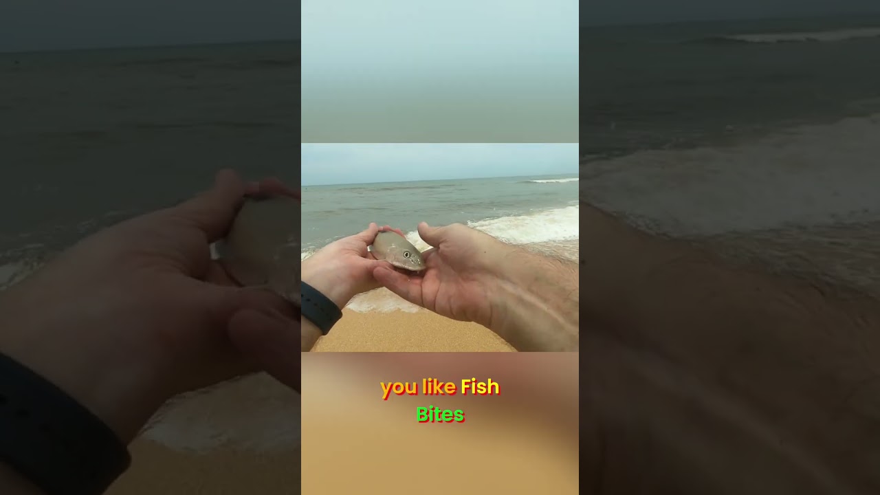 I Found A Fish, It Wanted A Snack, So We Argued Over The Menu... 🐟🥩