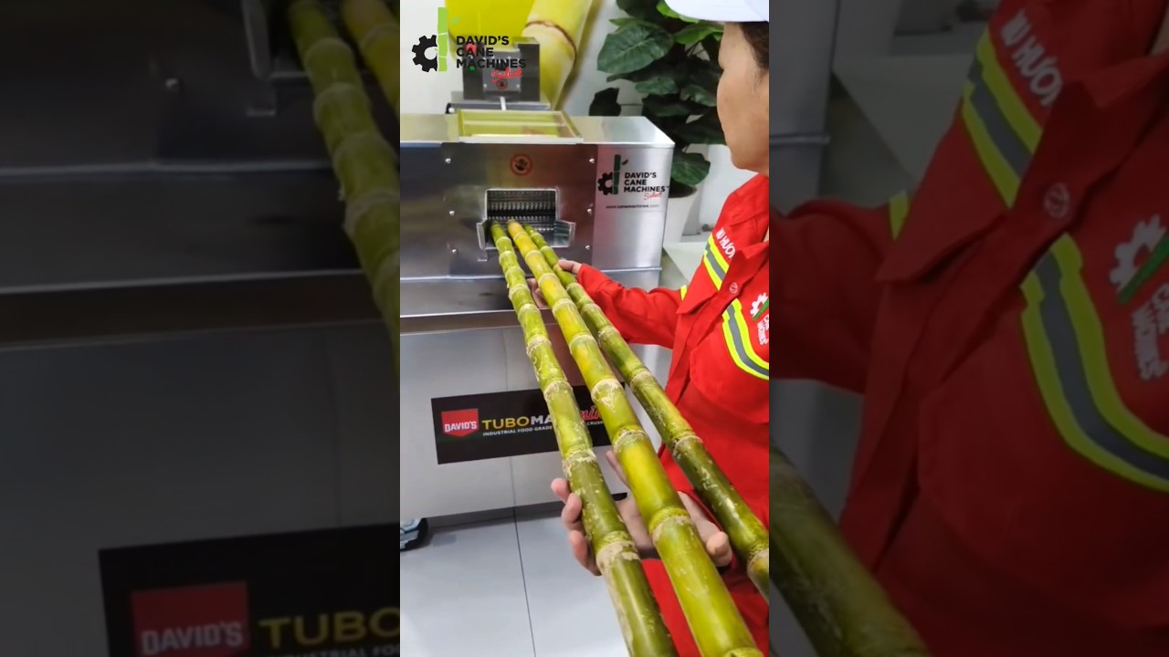 +84375104049 5HP New Tech Industrial Sugarcane Crusher | TurboMax® Mini #shorts #davidscanemachines