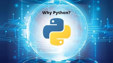 美女讲师亲自讲课！Python基础教程：变量以及基本数据类型