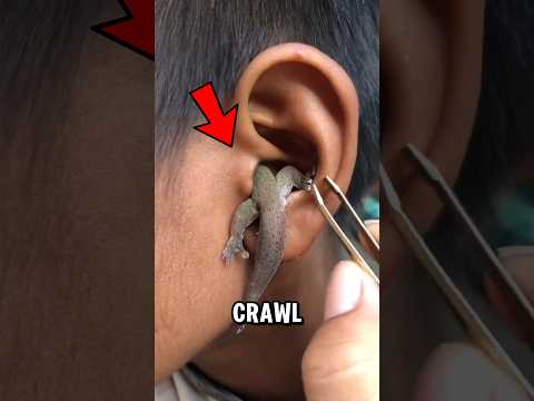 هذا المخلوق يراقب من الظلام