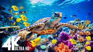 THE DEEP OCEAN | 4K TV ULTRA HD / Full Documentary  Beautiful Coral Reef Fish Video  Stress Relief