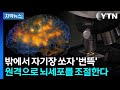 자기장으로 뇌세포 조절… 기억·감정·의사결정, 신경세포와 신경회로가 조절