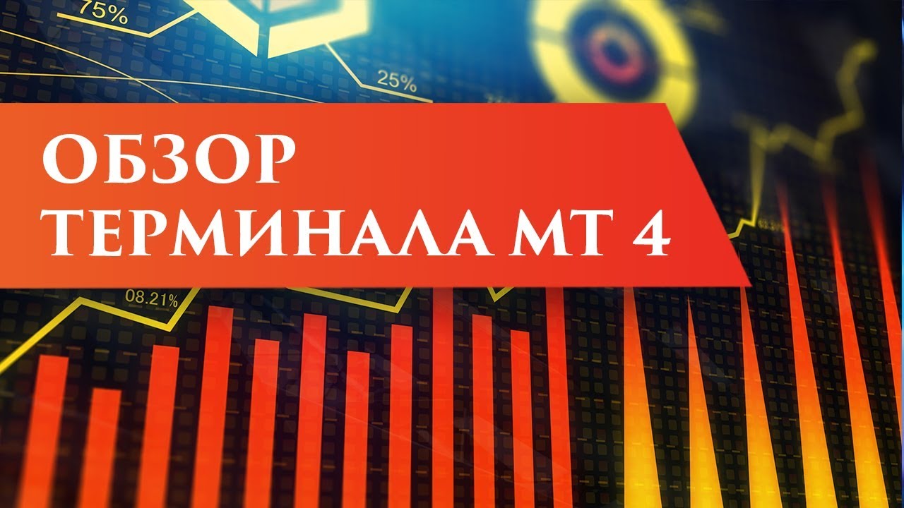 Обзор терминала Meta Trader 4