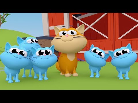 BEŞ KÜÇÜK KEDİ