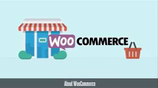 WooCommerce navigation – Dynamics NAV Connector screenshot 2