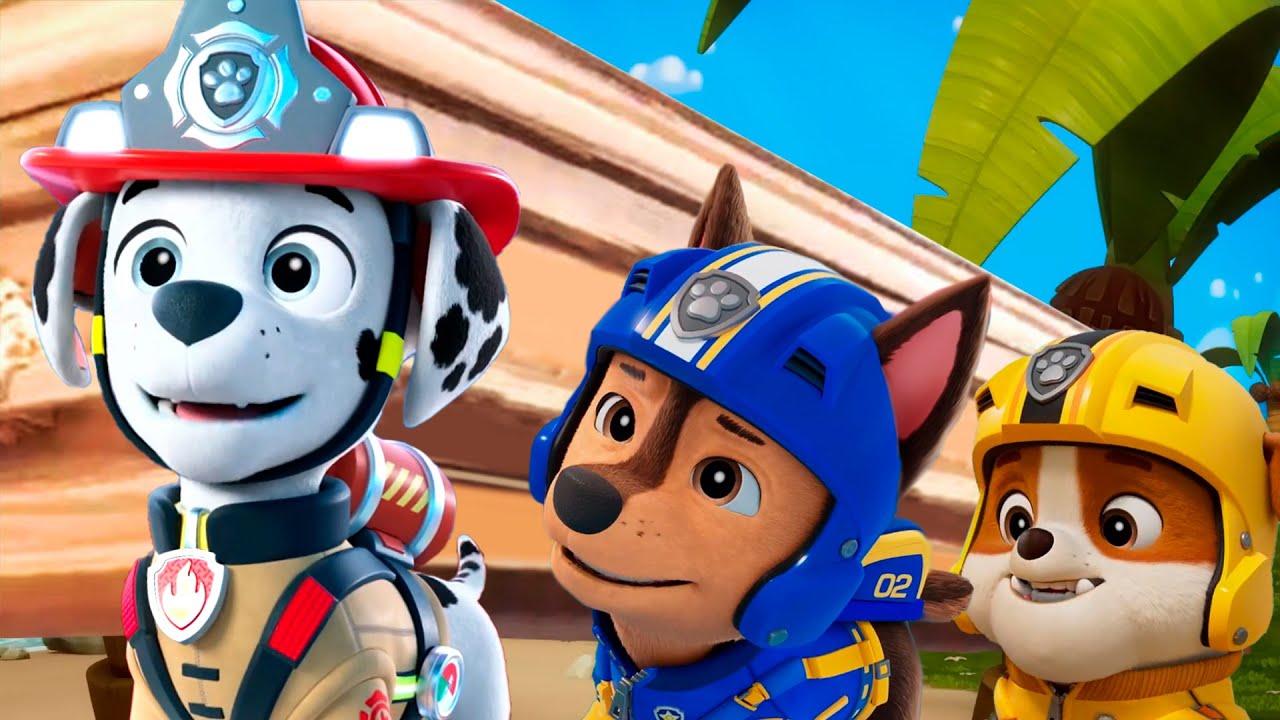 Paw Patrol Cartoon - Coffin Dance Song [COVER]