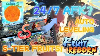 Fruit Reborn?! | AFK To Level Up & Got New S-Tier Fruit!