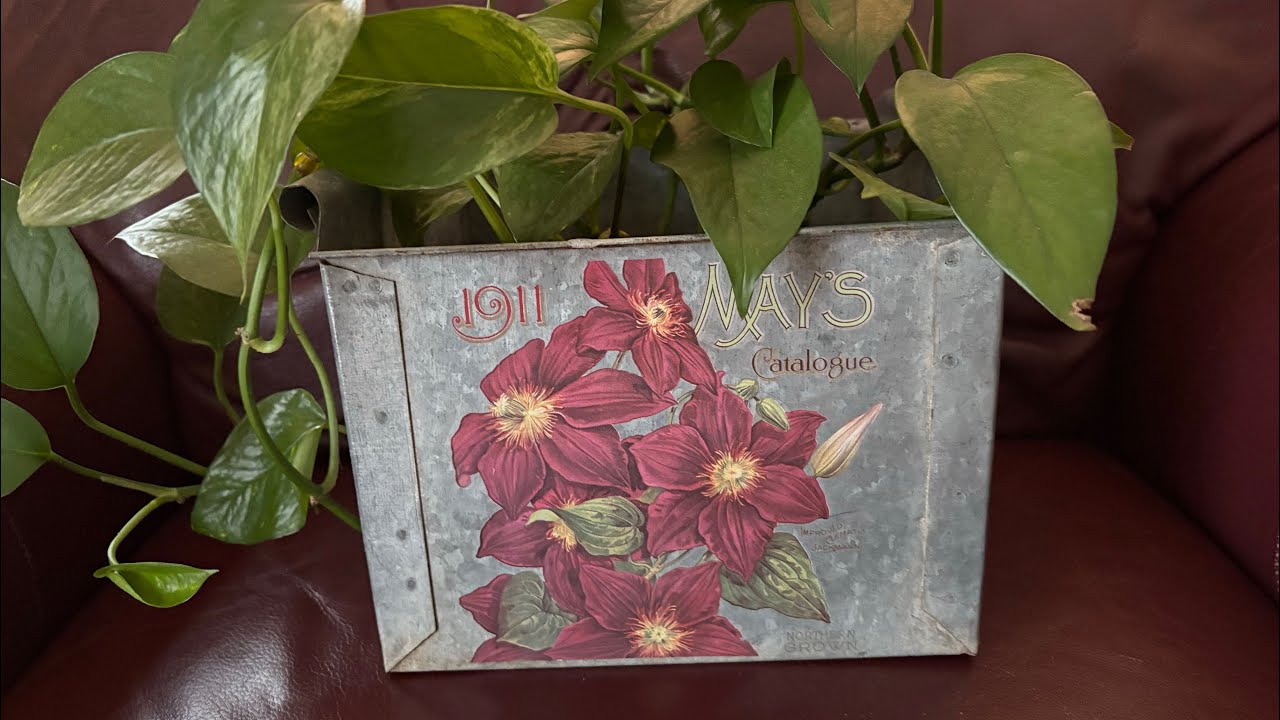 Galvanized Planter Decal Transfer Craft Project Burgundy Clematis Flowers