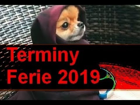 Wideo: W jakim terminie rozpoczynają się ferie zimowe 2019-2020?