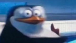 shitpostatus compilation