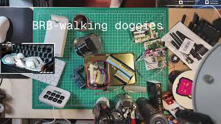 Making NeoPixel LED dog collars - working on some inventory and packaging design today