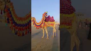 Jan k humz_#viral #shorts #trending #wajiddilmurad #funny #cutebaby #cute #viralmoment #netizens