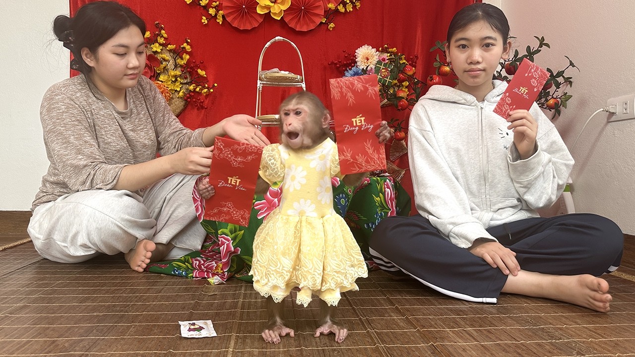So Lucky! Lala Receives New Year Wishes and Red Envelopes
