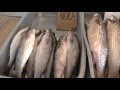 Крым. Севастополь. Цены на продукты. Начало осени 2016.