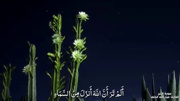 حالات واتس اب قرآن كريم  || حالات وات ساب دينية قصيرة //عبدالله الخلف