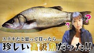 【初体験】魚屋でも見分けづらい！スズキに似た高級魚は料亭でも出される超絶品のお魚でした👀✨