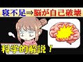 【恐怖】睡眠不足が続くと脳で何が起きる？【脳が自己破壊】