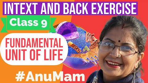 THE FUNDAMENTAL UNIT OF LIFE chapter 5 | back exercise and intext solutions | class 9| NCERT biology