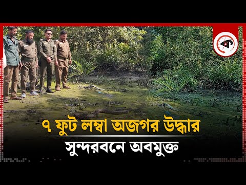 Naryan-Mar porno Sovuq jinsiy aloqa oyinlar