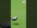 Florida Man Beats Golfer To Death With His Own Clubs On The Golf Course 