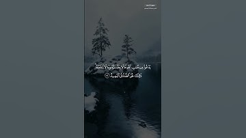 ﴿ومن الناس من يعبد الله على حرف﴾ تلاوة من سورة الحج للشيخ عبدالله الموسى
