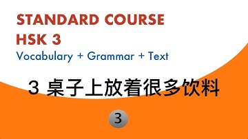 HSK3 Standard Course Lesson3 Text3 || 几
