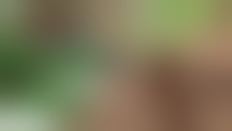 Fails of The Week 2 November 2016 || MegaFail