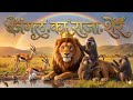 हिंदी कहानी ||जंगल का राजा शेर🦁||jungle ka raja Sher / #kahani #hindi #cartoon #वीडियो...