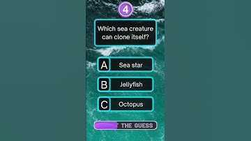 Only 1% Can Answer All These General Knowledge Questions! | Fun Quiz Challenge 🔥🧠