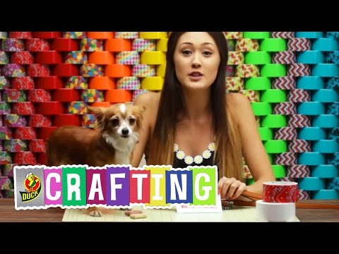 Comment Craft un Duct Tape Pet Treat Bag