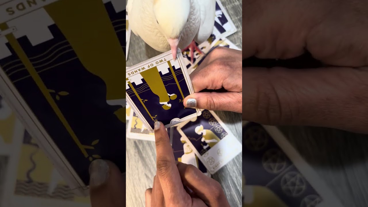 Their type changed once you left. Getting advice about you. 