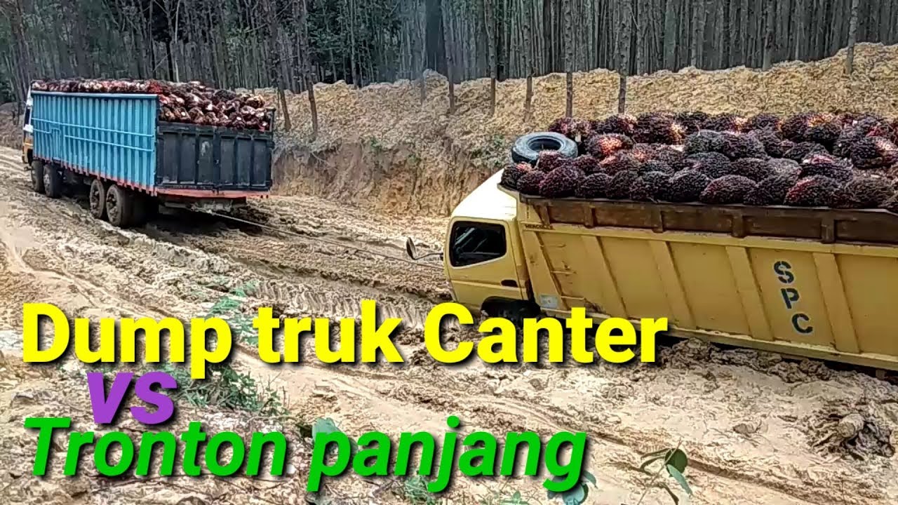 Dump truk  canter  vs Tronton panjang  YouTube