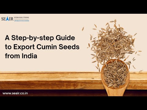 A Step-by-step Guide