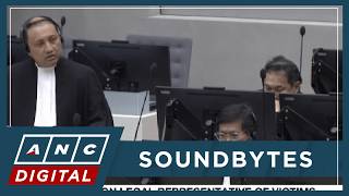 WATCH: Common legal representative of victims Gilbert Andres presents submissions on the merits