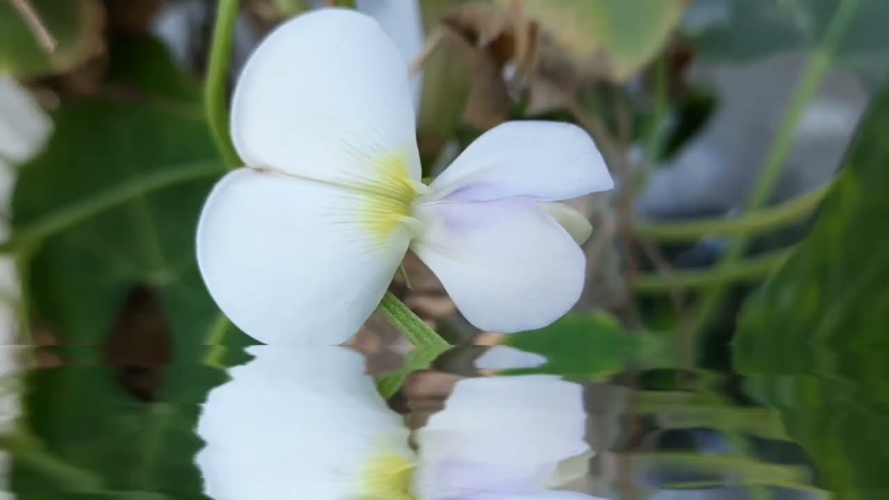 ശരത്തിന് വിശാലിന്റെ കയ്യിൽ നിന്നും കണക്കിന് കിട്ടുമ്പോൾ സിദ്ധു ചന്ദ്രയോട് ഡിവോഴ്സ് ആവശ്യപ്പെടുന്നു