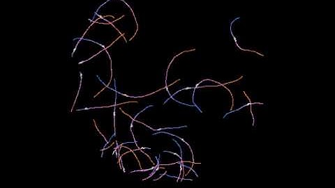 N2 (wild-type) C. elegans Locomotion - Entire Plate Part 1 - Multi-Worm Tracker Recording