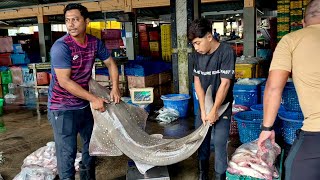 Experience a Quiet Thursday Morning at LKIM Pulau Kambing | Malaysia's Fresh Seafood Hub