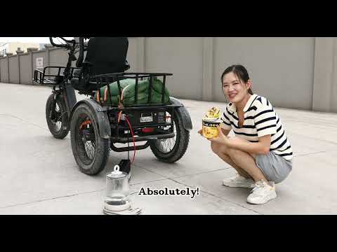 Automotive Grade Lithium Battery