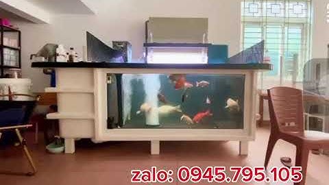 Bể nuôi Cá Koi 🐬(300×200×100) Nhựa frp nguyên khối | Giang Minh Composite