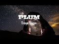 Troye Sivan Plum Lyrics mp3