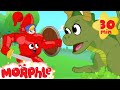 My Magic Knight Armor! Morphle the super Hero becomes a Knight to fight a dragon. (Kids Video)