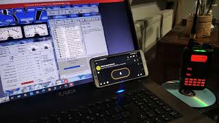 Echolink   Zello  Two applications one PTT {UNIWA B8000}. screenshot 3