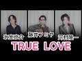 【名曲】『TRUE LOVE』を藤井フミヤ・氷室京介・河村隆一が歌ったら素敵だった  byたむたむ