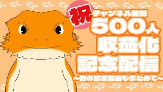 【収益化記念】いつもありがとうございます！！