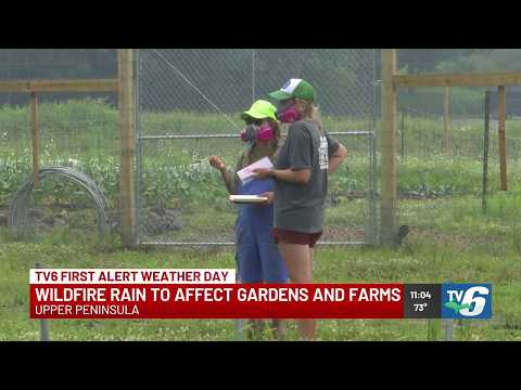 Wildfire rain to affect Upper Peninsula agriculture and forests