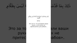 Сура Аль-Анфаль  аяты 50:51 Абу Хаджр аль-Ираки